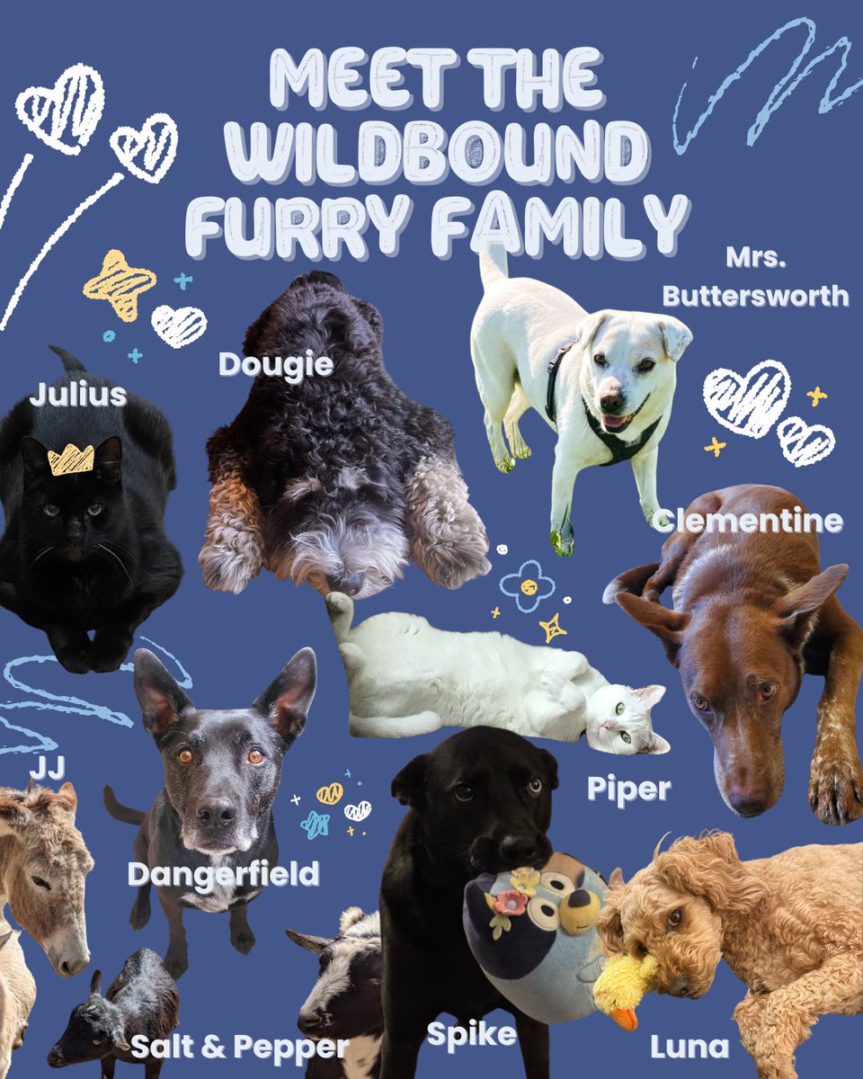 wildboundpr's tweet photo. Happy National Pet Month! We're introducing Wildbound's furry family for the first time. Share your favorites and your own fur babies in the comments 🐾

#WildboundPR #NationalPetMonth #Dogs #Cats #Pets https://t.co/7YLK6LZMMe