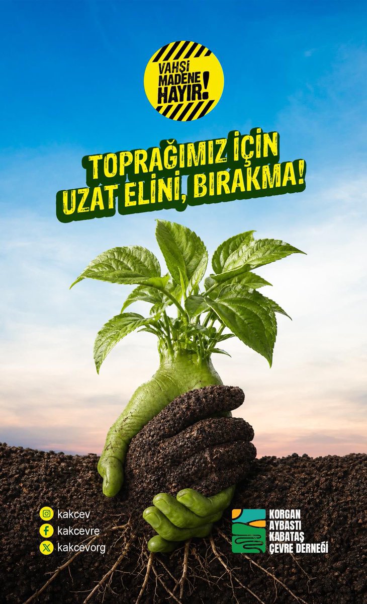 KAKÇEV tweet media