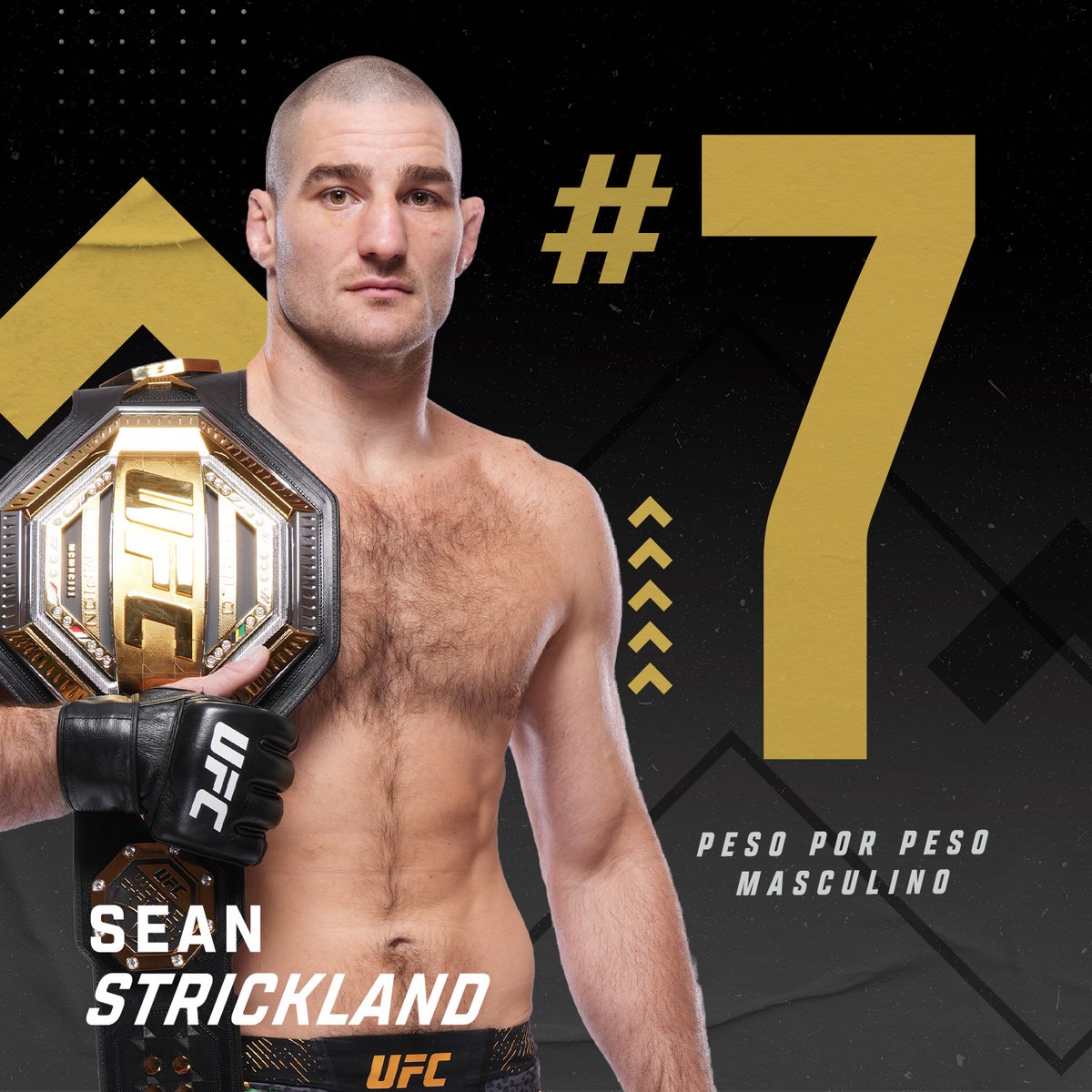 UFC Brasil tweet media