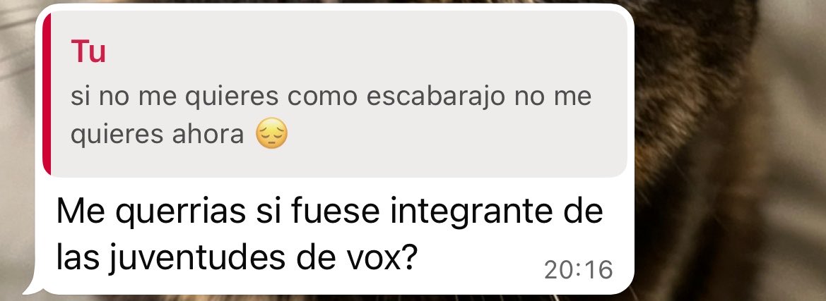 vicks 🤠 tweet media