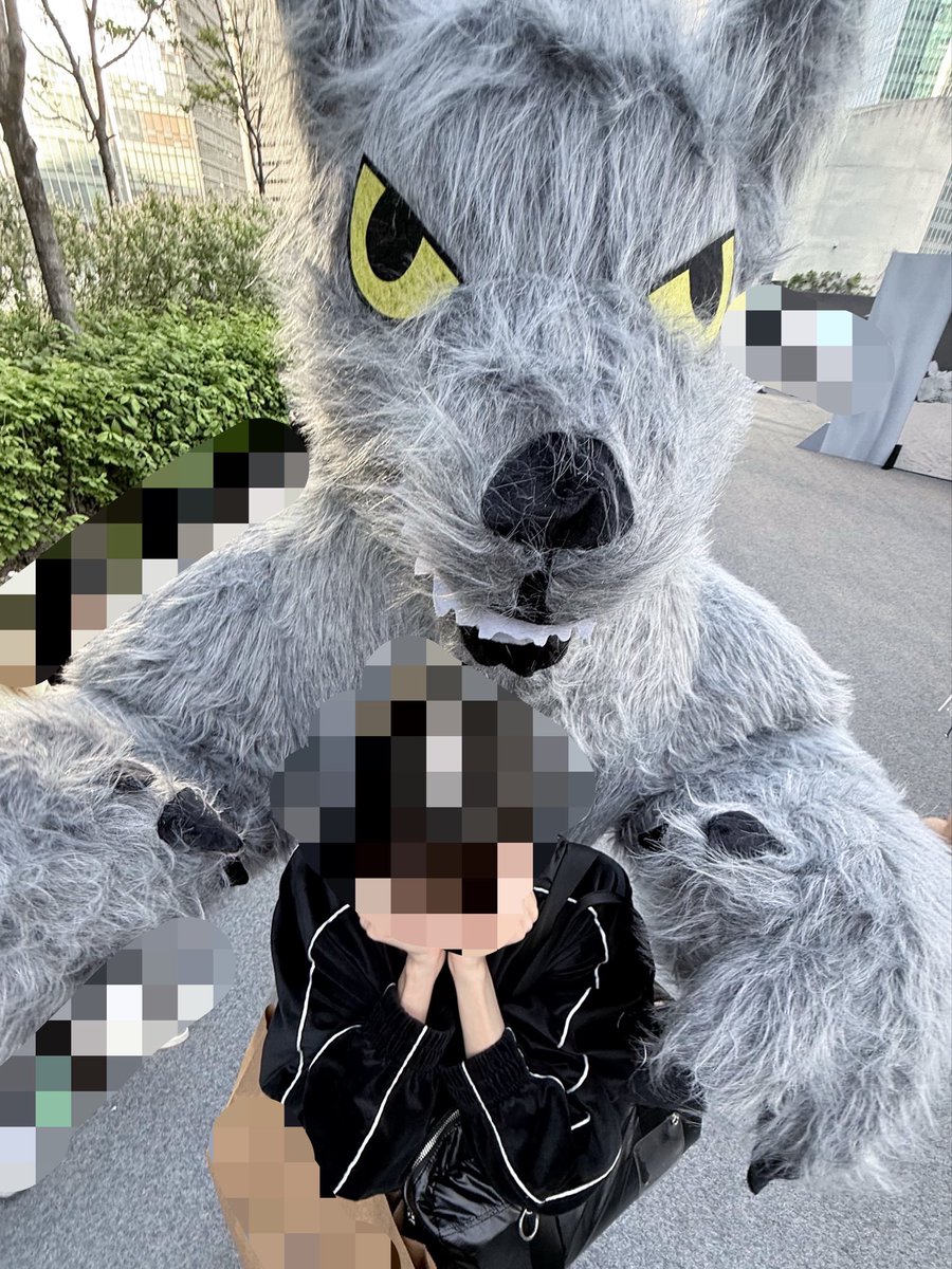 oconih's tweet photo. 🐺🩶 https://t.co/rxCXNO4vVp