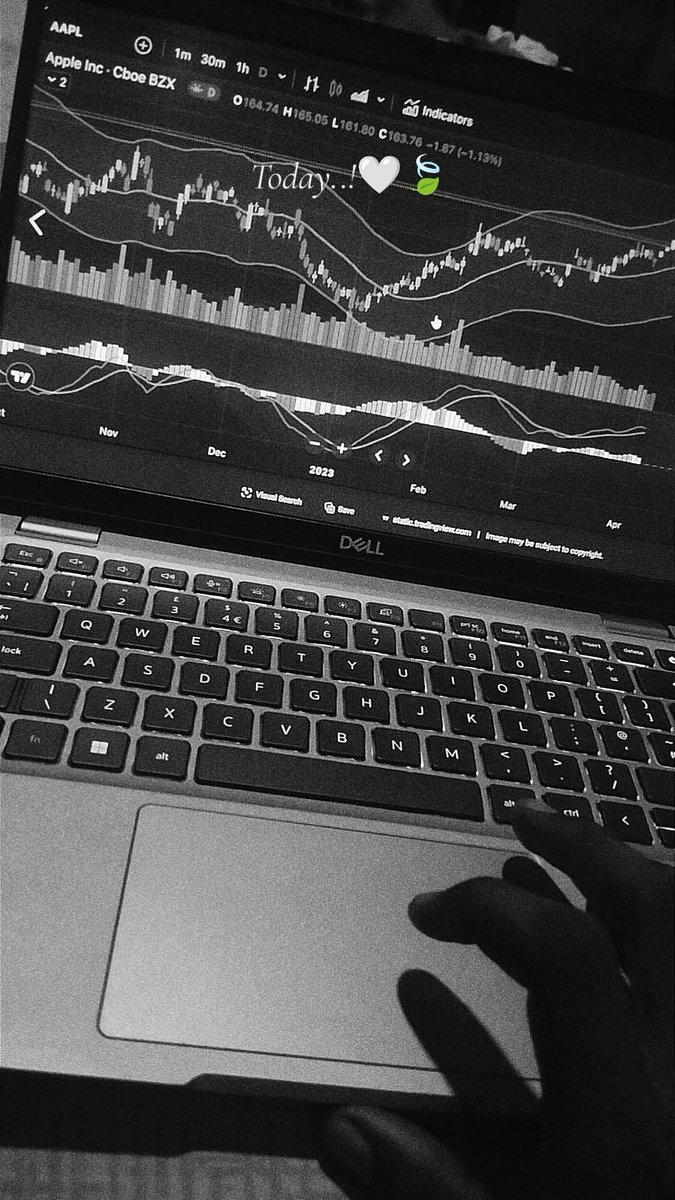 Alixs fx ❤️🚀 tweet media