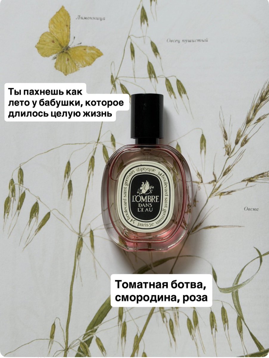 Лена, что вечно Котова tweet media