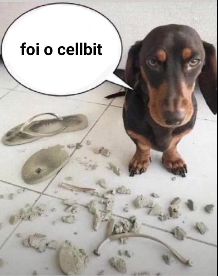 ☥mari tweet media