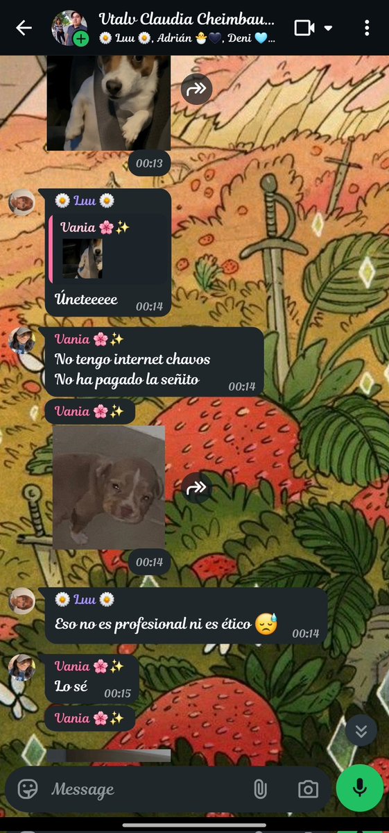Quessi⁰¹⁹ 🌐 🕷️ tweet media