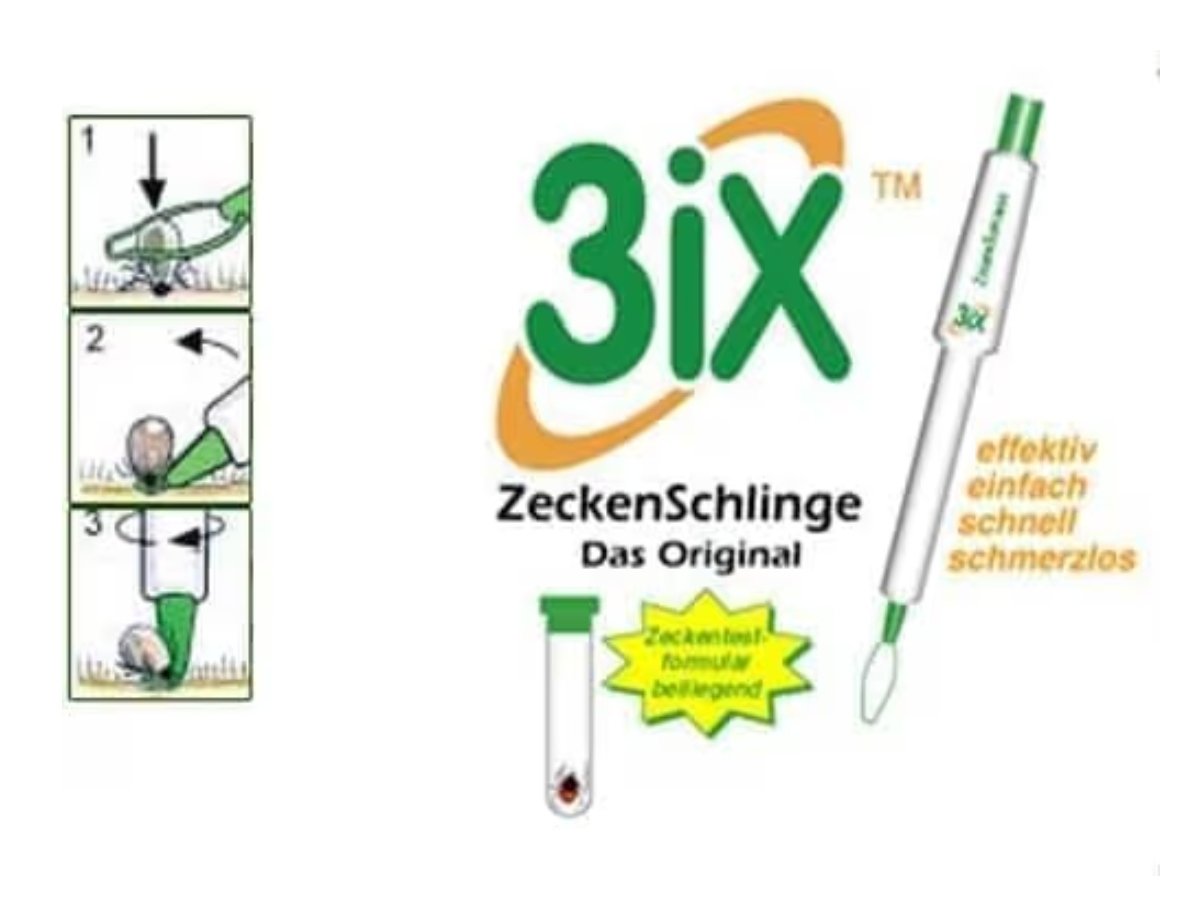 Gerhard Zeiler 🆔 tweet media