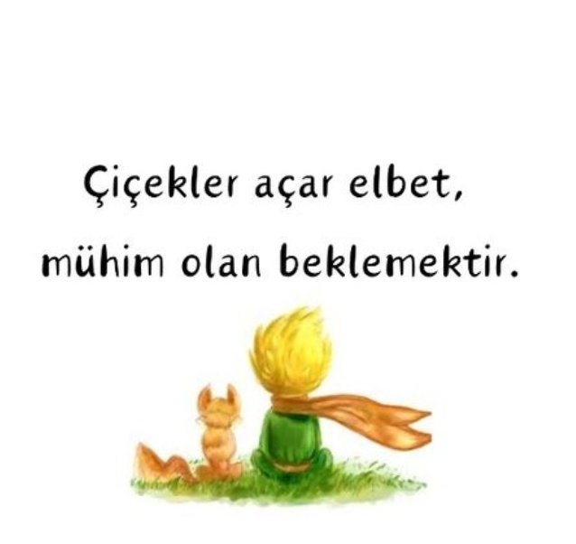 muallime tweet media