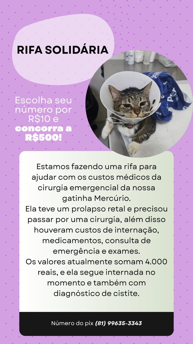 sasa tweet media