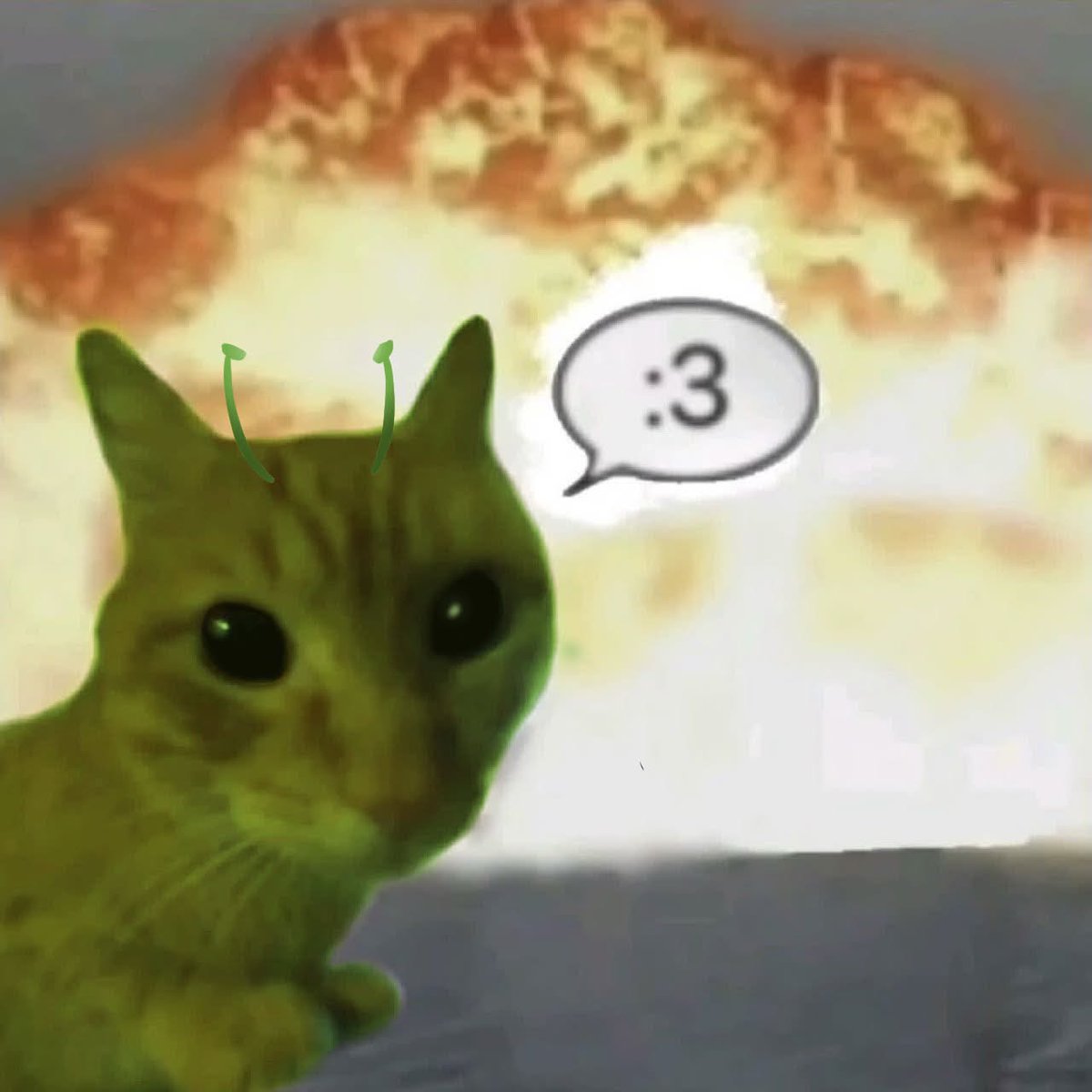 Alien Rio tweet media