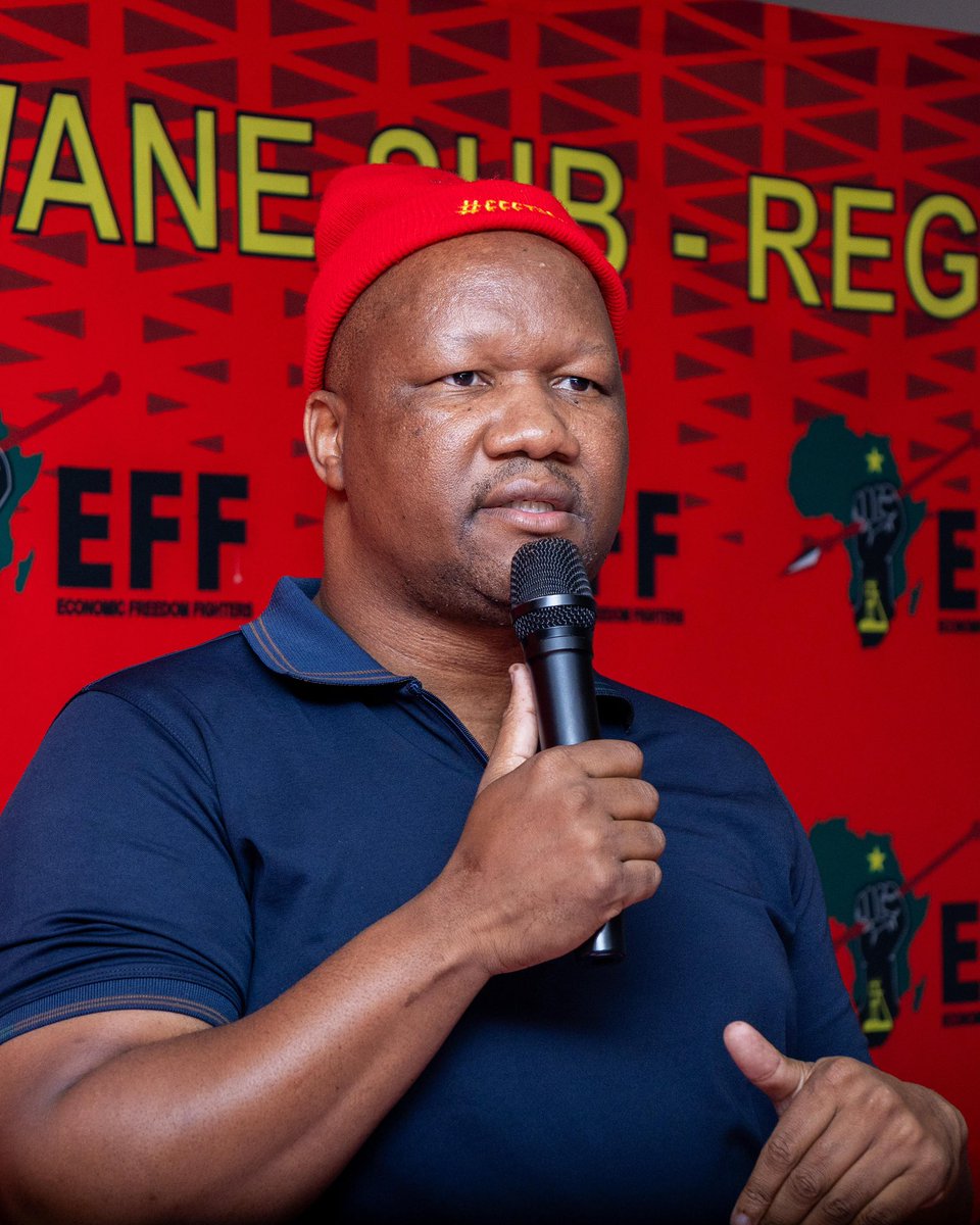 EFF Gauteng tweet media