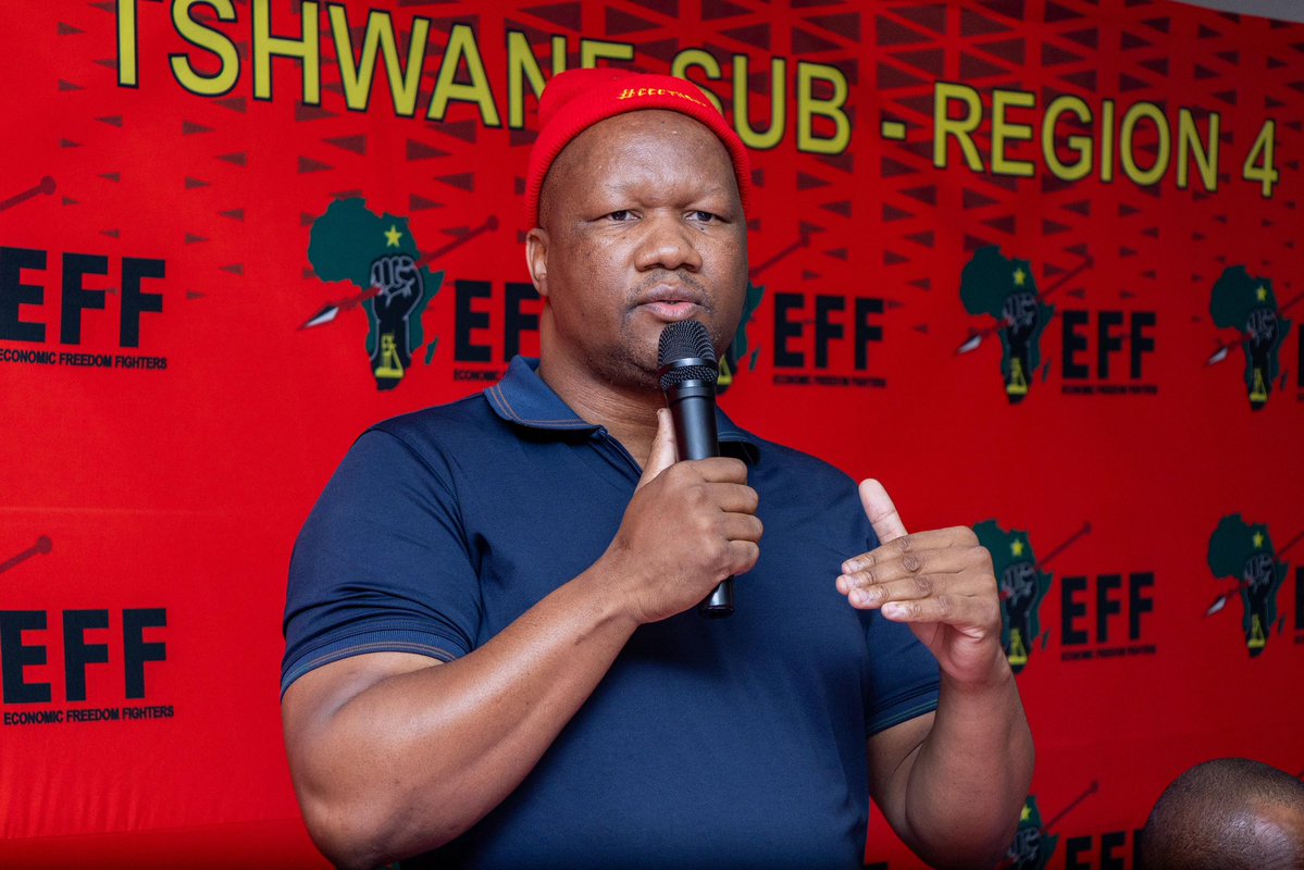 EFF Gauteng tweet media