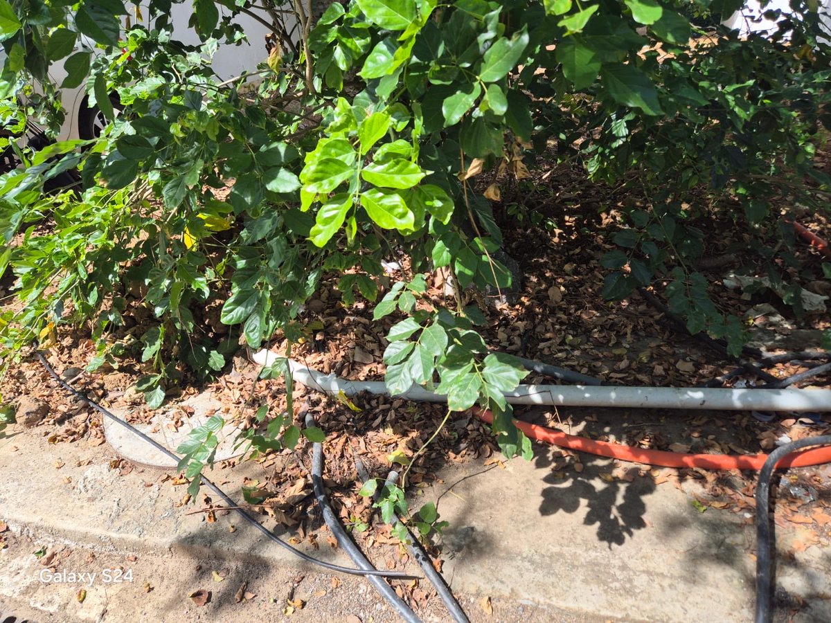 raja_fcm's tweet photo. @TANGEDCO_Offcl sir what is the procedure to move the LT underground structure which give power supply to few housed it is quite disturbance and danger to start constructing it is placed very centre we can’t even start the work https://t.co/2aHrvdsOWA