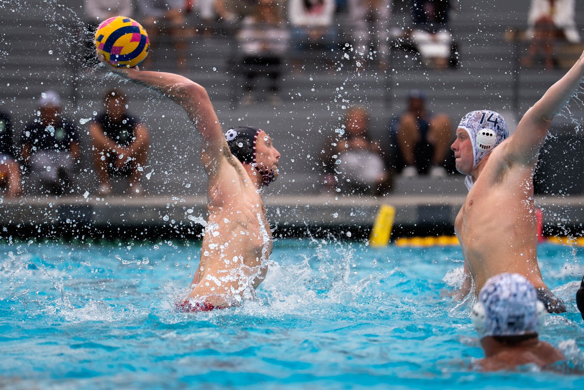 USA Water Polo tweet media