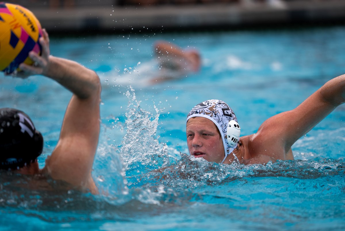 USA Water Polo tweet media