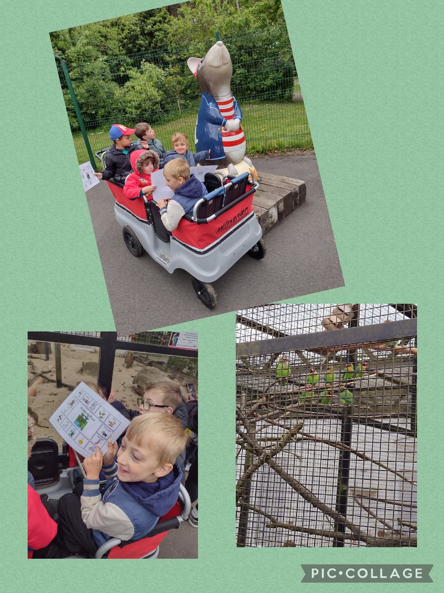 CPickeringPri's tweet photo. We looked for signs of spring at the park. We also enjoyed seeing the animals! 🌱🌷🌿🏵️ #CPNest https://t.co/z7x4c3ZIOQ
