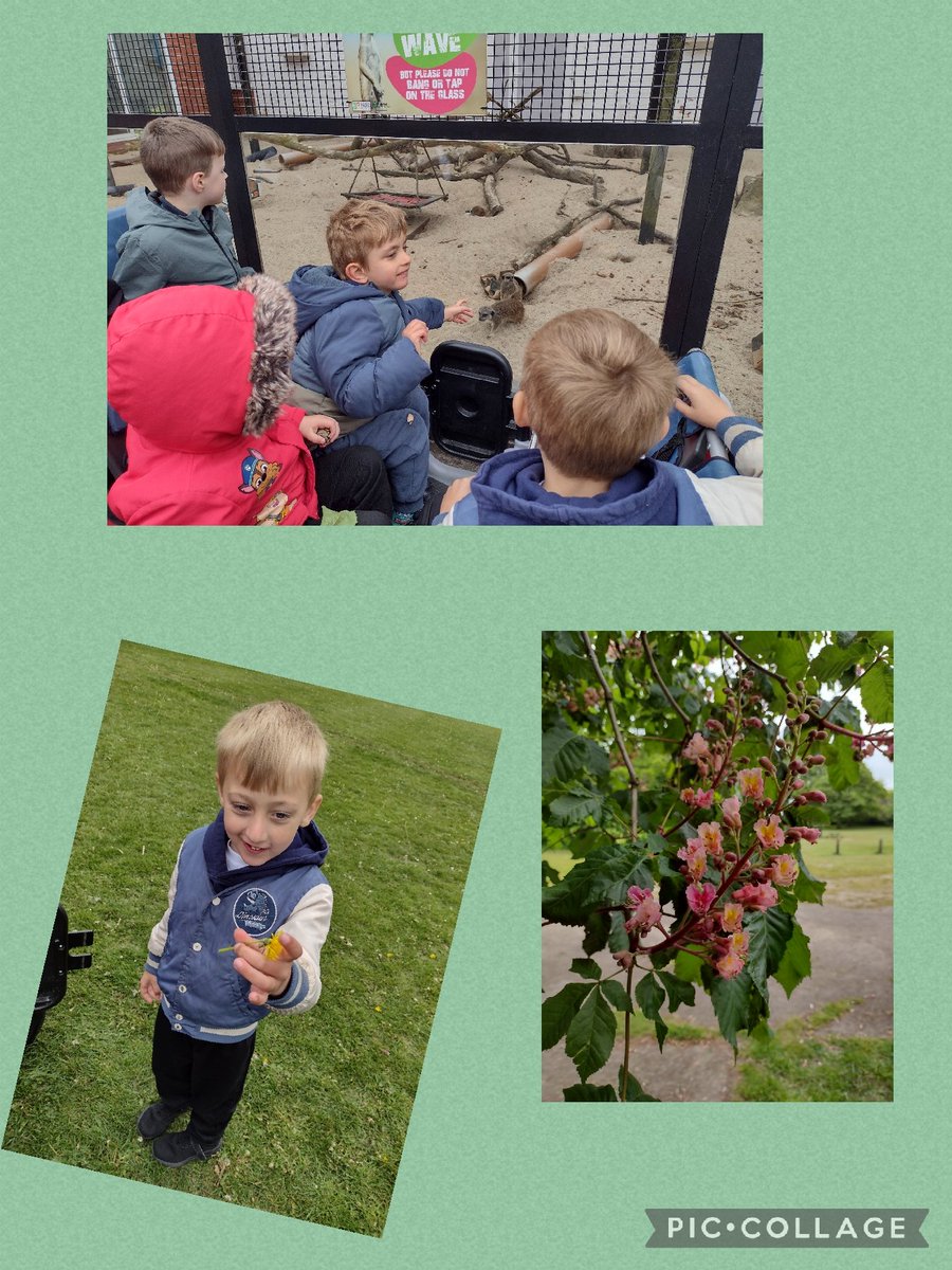 CPickeringPri's tweet photo. We looked for signs of spring at the park. We also enjoyed seeing the animals! 🌱🌷🌿🏵️ #CPNest https://t.co/z7x4c3ZIOQ