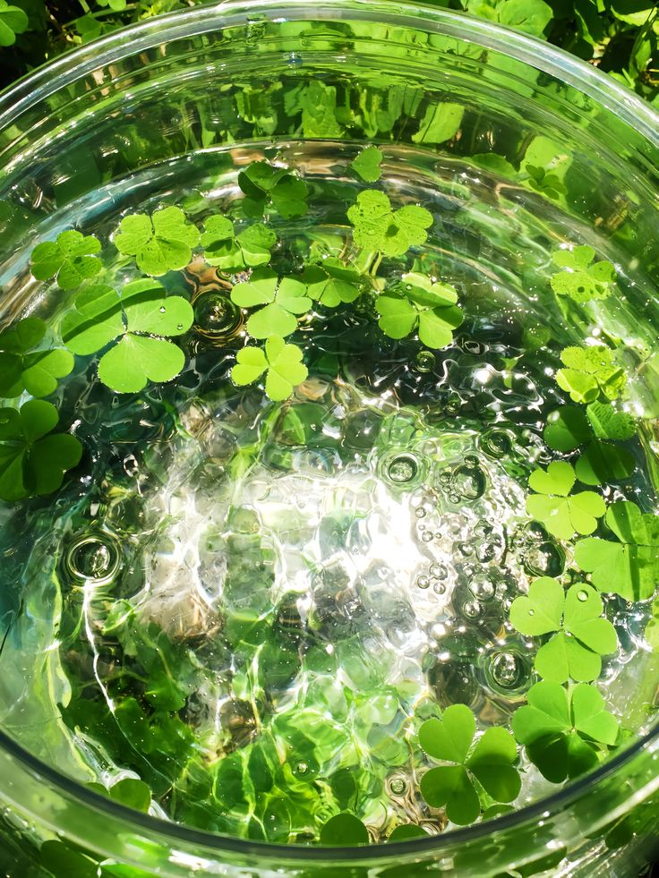 GreenLotus tweet media