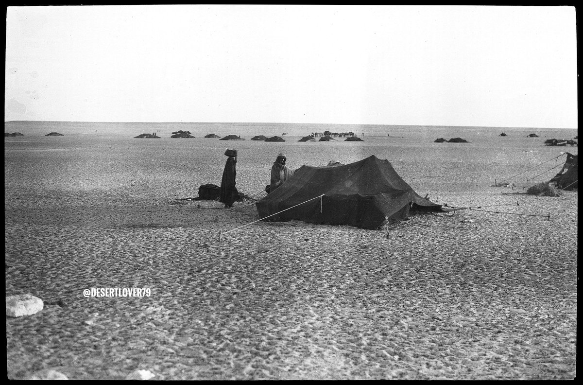desertlover79's tweet photo. خيام البدو في هجرة النقيرة شمال محافظة النعيرية في المملكة العربية السعودية ١٩٢٤ م https://t.co/PQ2T45RrFF