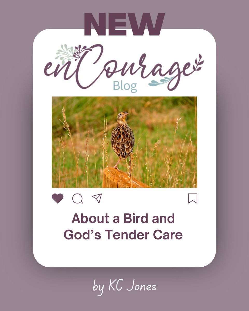 PCACDM's tweet photo. KC Jones joins us on the blog today, sharing a story about a beloved pet and how it reminded her of God's gracious love for His children: https://t.co/v3QLuOqNF3 https://t.co/e2F10YAfMd