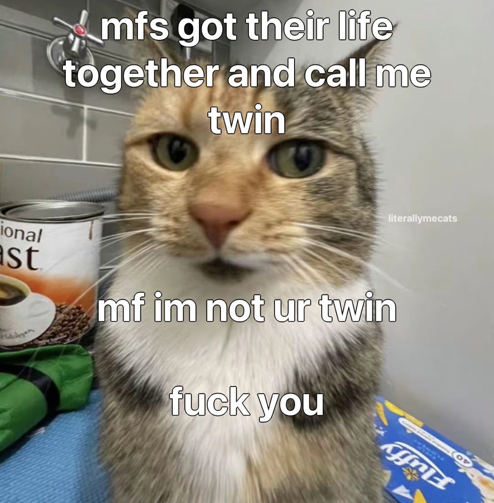 literallymecats's tweet photo. https://t.co/S1K6VyeluC