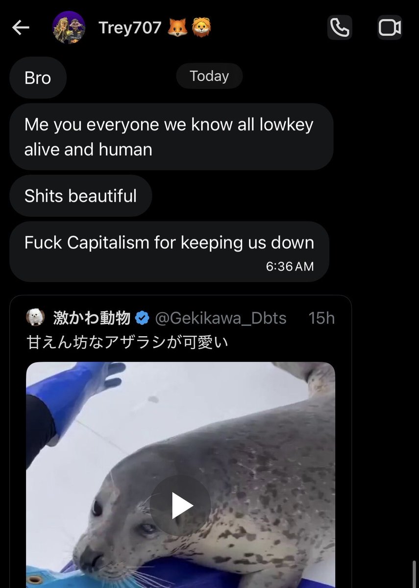 ⋆。°✩aj🦭ben kindel #1 glazer tweet media