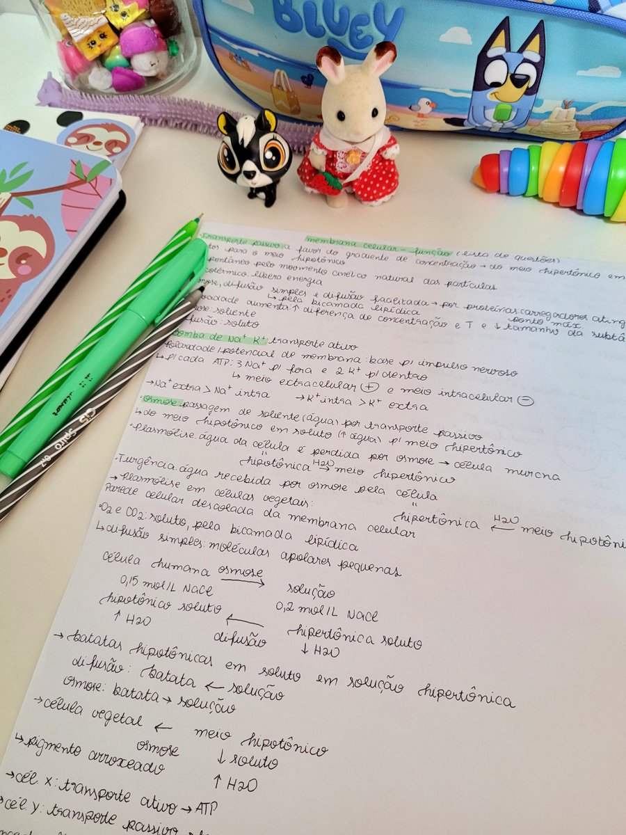 clara de lua 🐞 tweet media