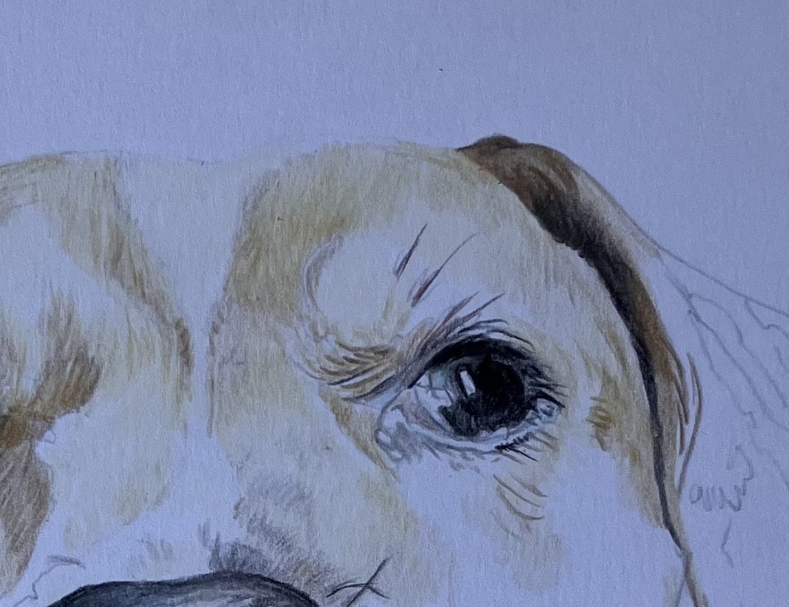 Lisa Wellwood Artist tweet media