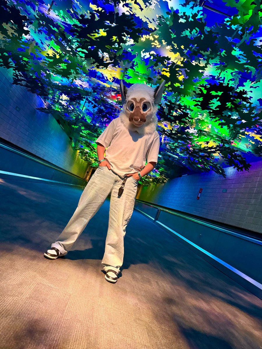 furtheque's tweet photo. rattical
📸: @NotableHowler https://t.co/yk2wtPS9U0