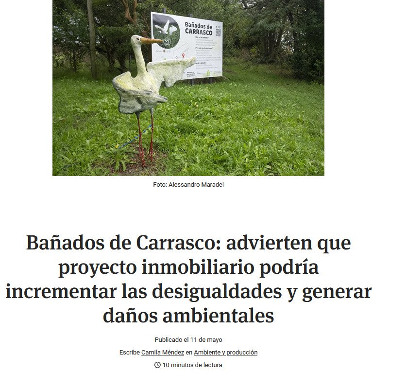 milesdeciudades tweet media