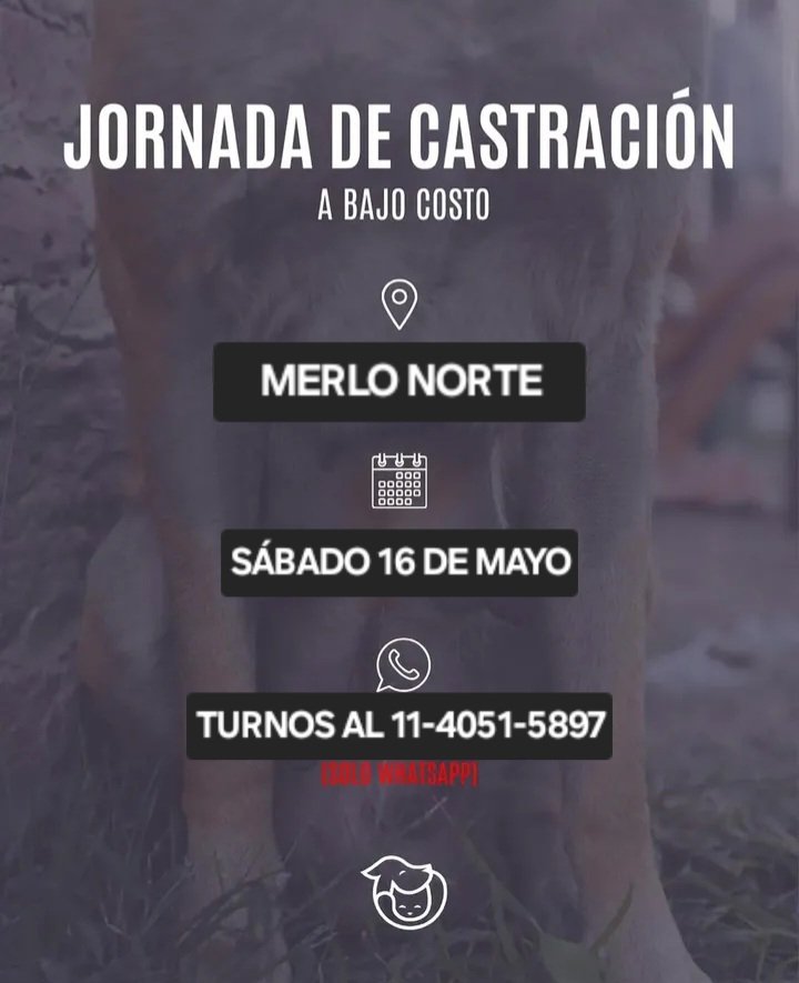 Perros de Merlo tweet media