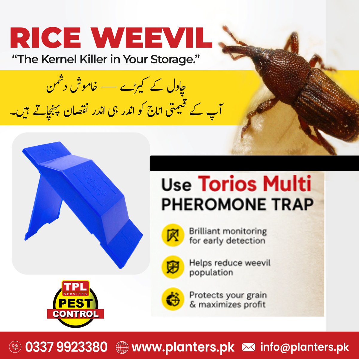 TPL Pest Control tweet media