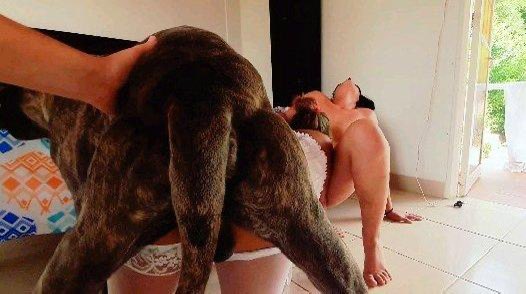 Isabell0659's tweet photo. Dm for my erotic taboo videos 🐾🐶

https://t.co/jCrb0ur6nS

#doglover #dogslut #knotty #k9girls #dogbitch #aoz #artofzoo #k9slut #zoolove #doggy #k9lady #knottygirl #dogknot #人兽 #evva #zoophilia #beastilty #sex #doglove https://t.co/VdMtJeod1E