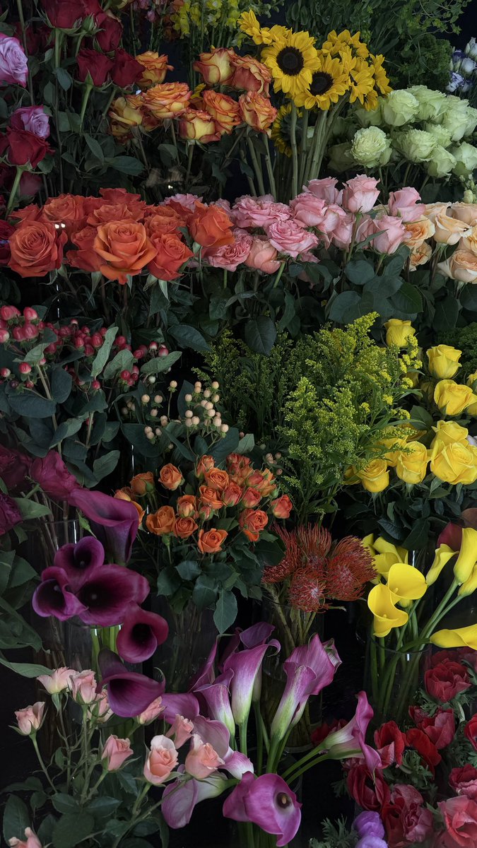 tywhitestar's tweet photo. “I must have flowers, always, and always” https://t.co/gPgOVIgqAs