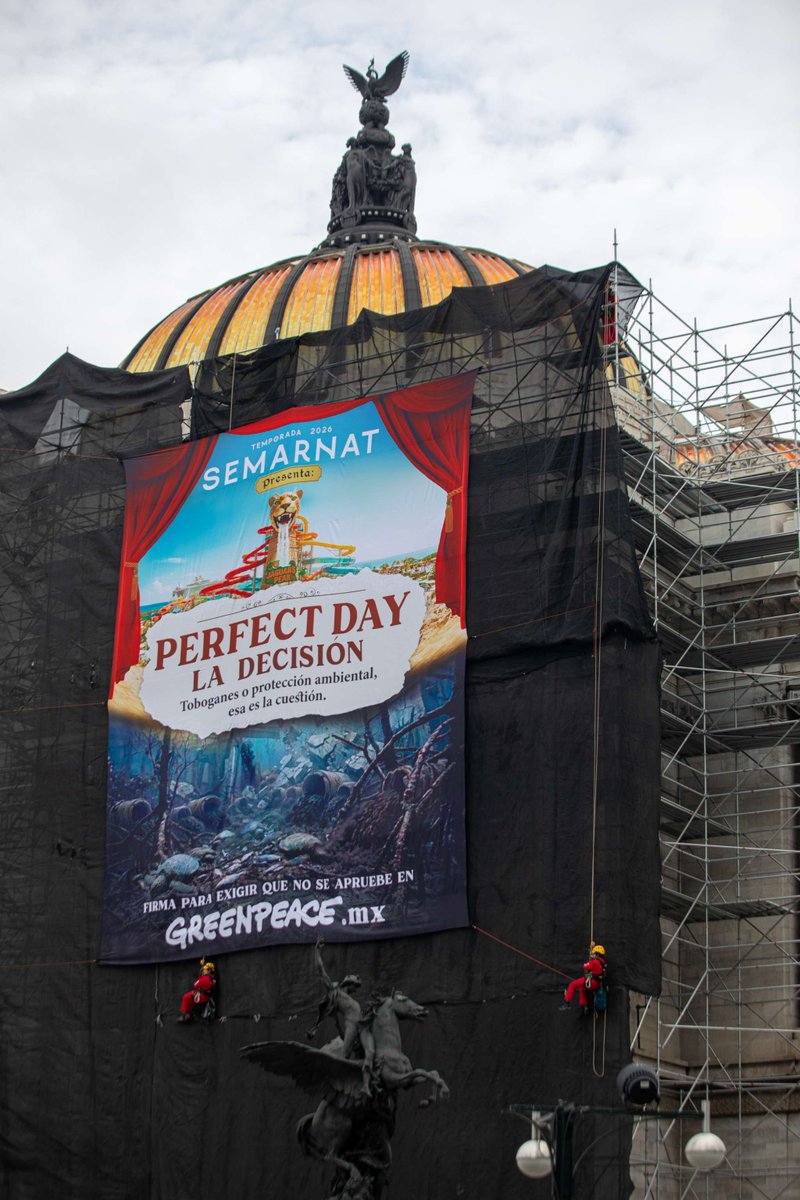 AristeguiOnline's tweet photo. Con manta en Bellas Artes, Greenpeace exige a Semarnat frenar autorización de 'Perfect Day Mahahual' https://t.co/E6L2XH9U91 https://t.co/PNO8cJroYP