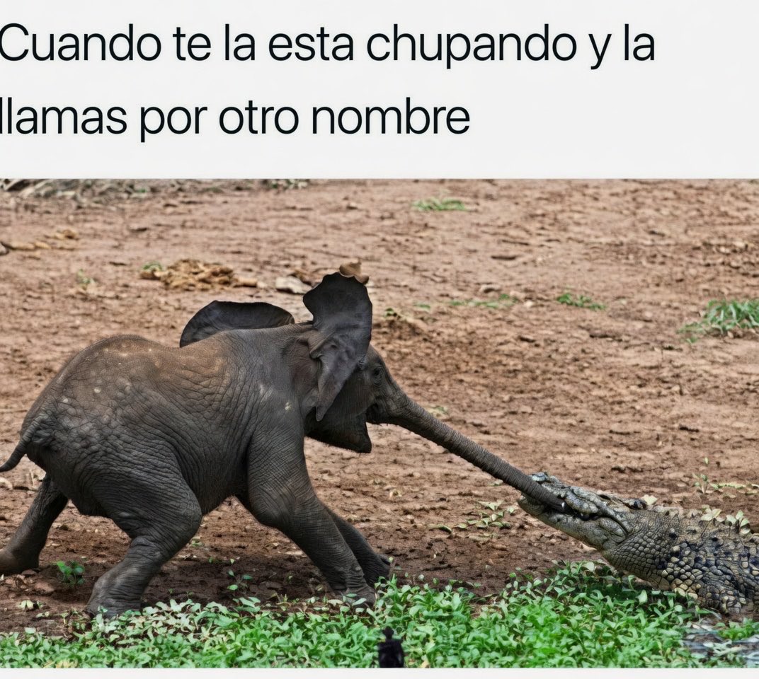 😅