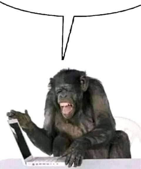 The_Qu_'s tweet photo. @mariolabarbie @XboxMexico Qaual pixie ajenda Wei? 🐒 Taz vien tunto Wei riqlo https://t.co/hI1GGqQcTt