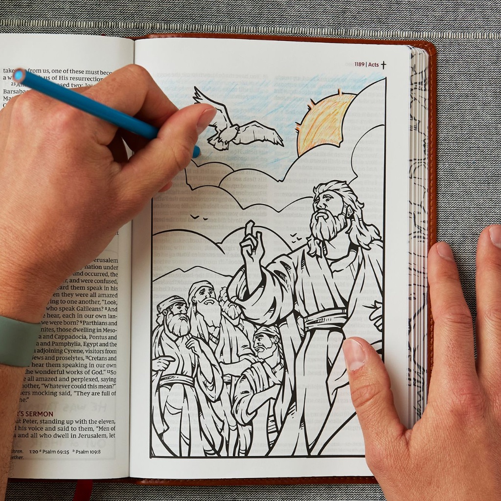 paulmignard's tweet photo. I illustrated a Bible for @NelsonBibles and it's out today! 🙏🏻 https://t.co/b0uf1jmtt4