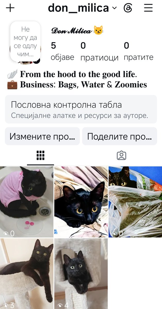 sstassiijaa's tweet photo. https://t.co/28exMRNmwy
The life of a cat rescued from the street. 🫶🏻
.
.
.
.
#caosvima #blackclover #cat #animaltherapy #petlovers https://t.co/hwAznI8ZzY