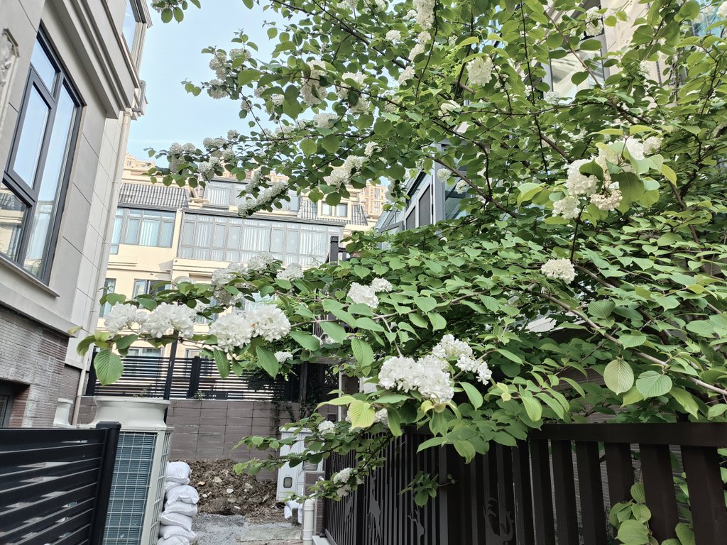 1_7il0's tweet photo. 環境很漂亮的地方在住 https://t.co/E8aUt2Zl4L