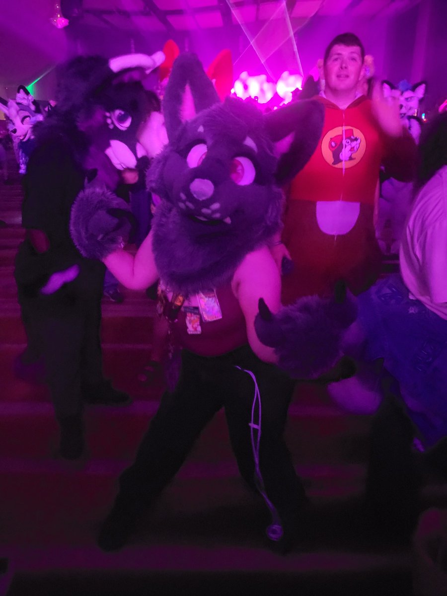 NerdyFluff's tweet photo. People featured in pics &amp; videos; @gameboyjones ,  @silvahound , (whos the invincible oops) , Rune and Cleric (idk what their socials are!) , @ChaoticK9 , and @AndrewCorbelle !! You guys made FWA unforgettable, and I can't wait to come back next year!! https://t.co/8042EyLZEd