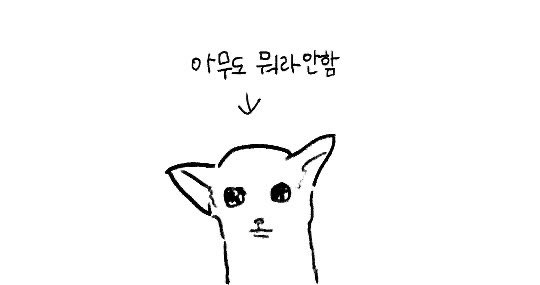 김시루 tweet media