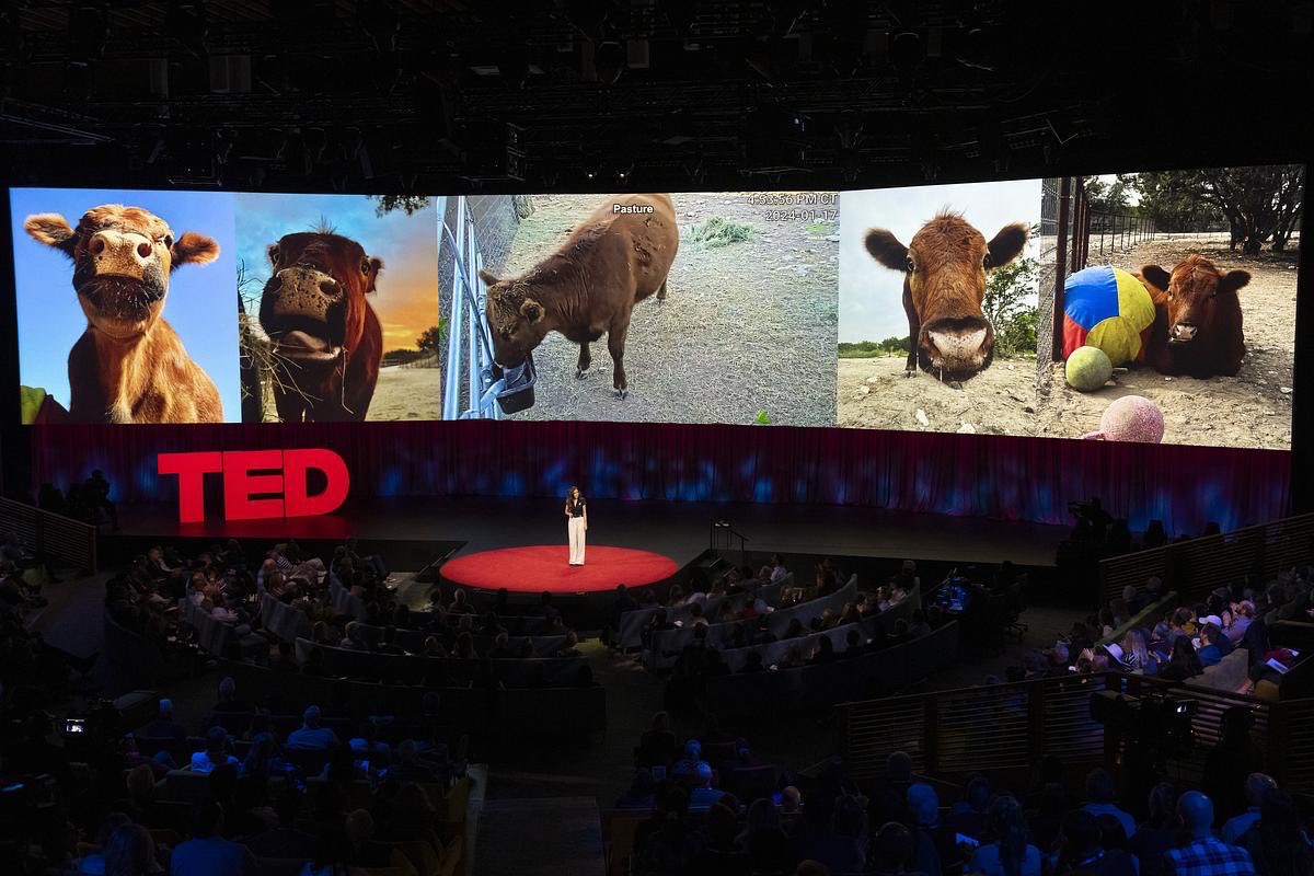 THE FIRST STREAMER 

TO GIVE 

A TED TALK

THAT’S MAYA HIGA 👏👏