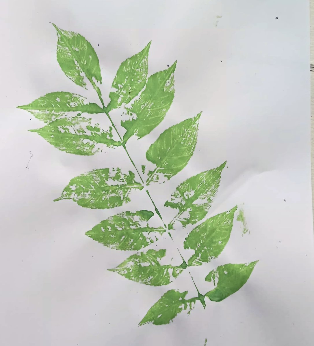 RedmountResHome's tweet photo. Residents have explored different techniques for leaf printing today, after foraging for their favourite shapes outdoors. Look at the stunning results! We're gearing up for 30 Days Wild this June #30DaysWild #LeafPrinting #WildArt #Foraging @DevonWildlife @WildlifeTrusts https://t.co/v6L7JZHDXz
