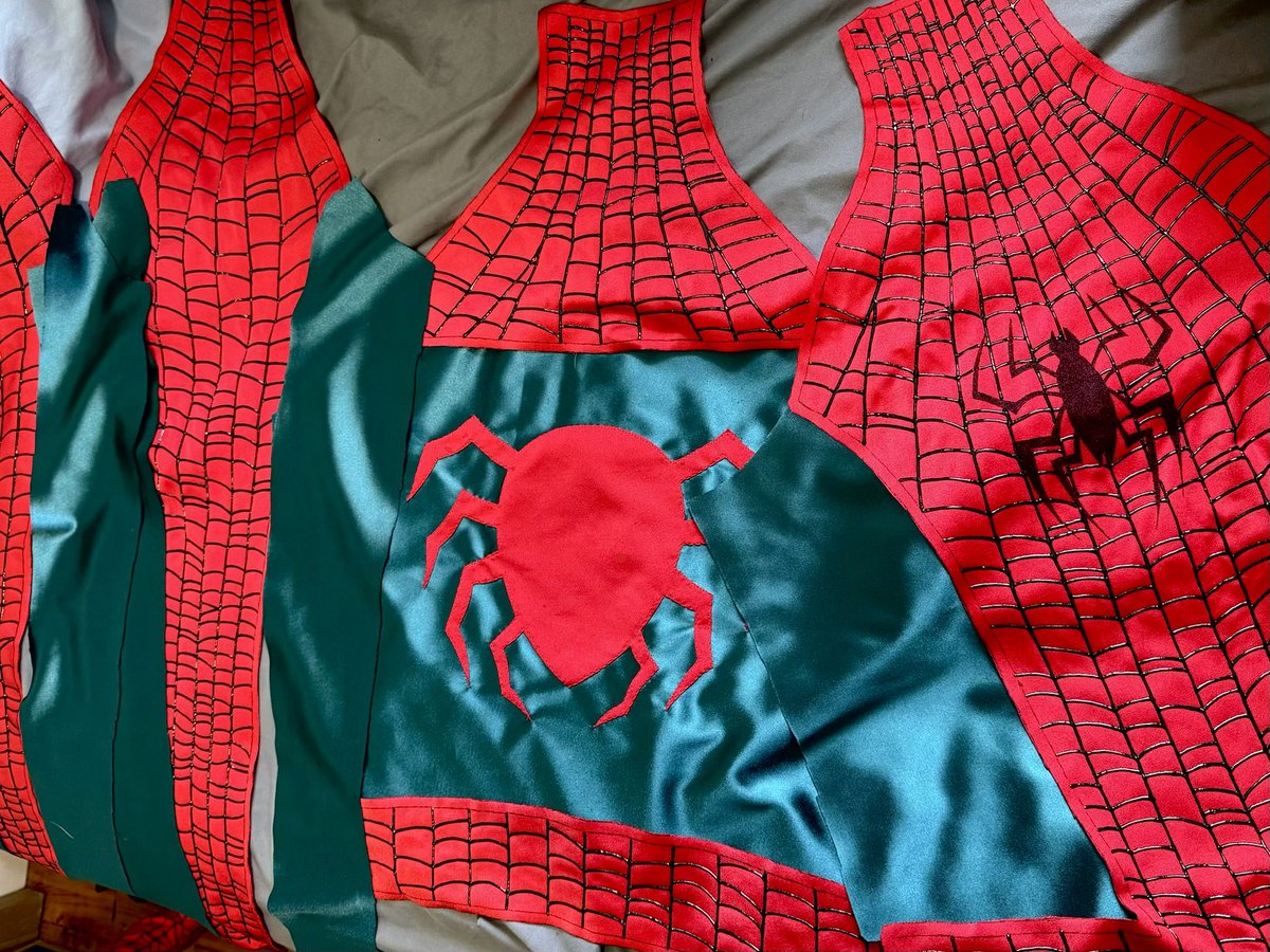 🕷️ tweet media