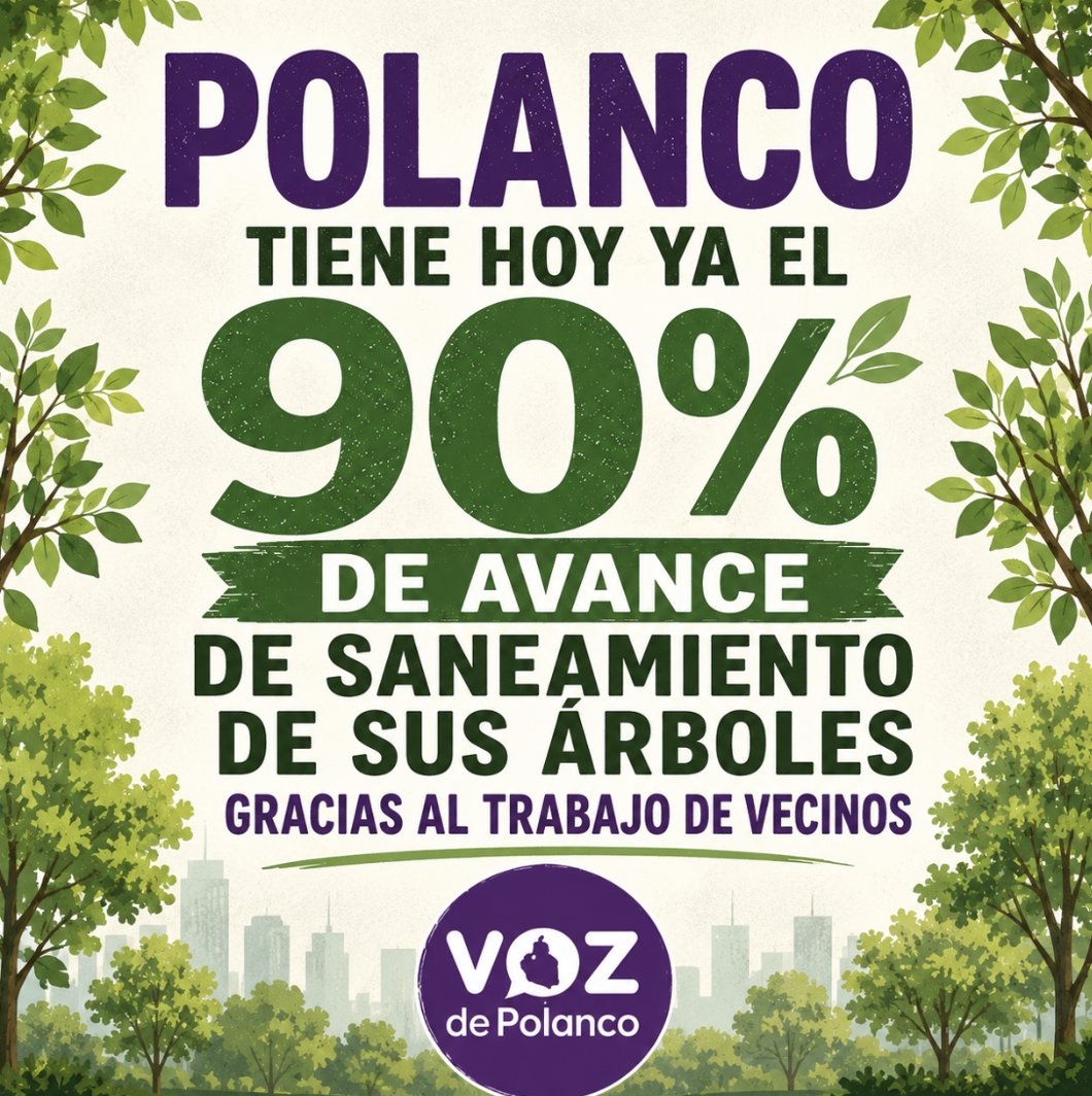 lavozdepolanco's tweet photo. Hoy el saneamiento del arbolado en #Polanco ya supera el 90% de avance. 🌳 El  proyecto de #SéLaVozDeLosÁrboles se ha convertido en un ejemplo de participación vecinal activa e impulsados por eso, cuando concluyamos esta etapa, nos gustaría ayudar a replicar este modelo en otras colonias de la #CDMX. Si en tu comunidad hay interés en impulsar algo similar, escríbannos y con gusto podemos asesorarlos.