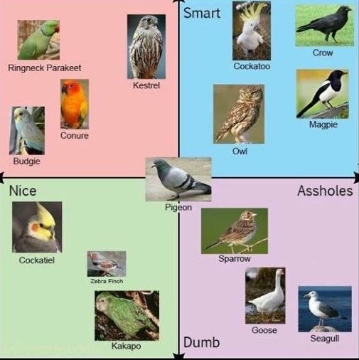 Sparrow tweet media