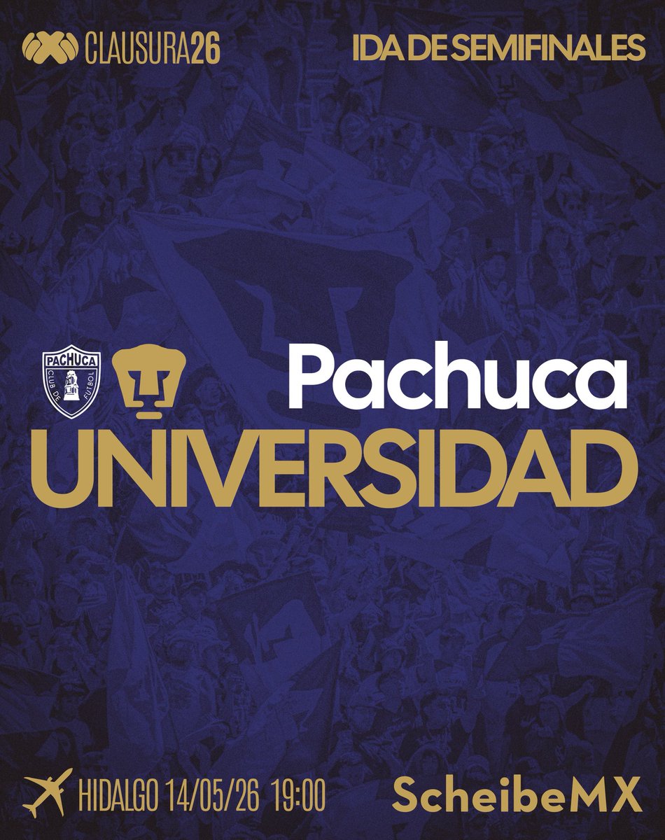 SCHEIBEMX tweet media