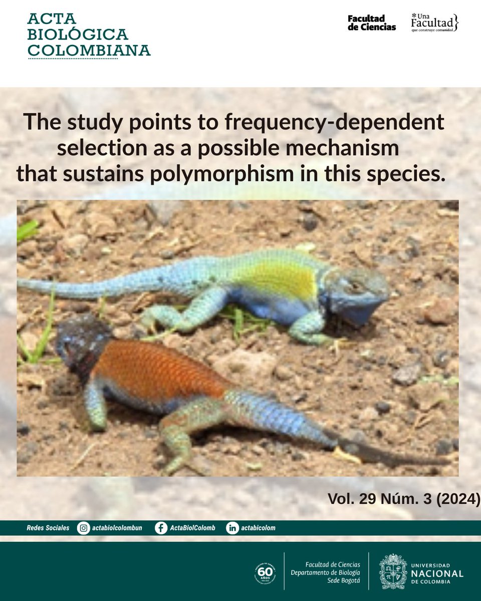 RevistaABC's tweet photo. The results indicate that there were no significant differences in testicle volume or weight between the morphs over the years analyzed. Similarly, no significant differences were observed in liver or fat body weight. https://t.co/5K6QC8ka5g
#fecundity #polymorphism #squamata https://t.co/LoaSIOIE4g