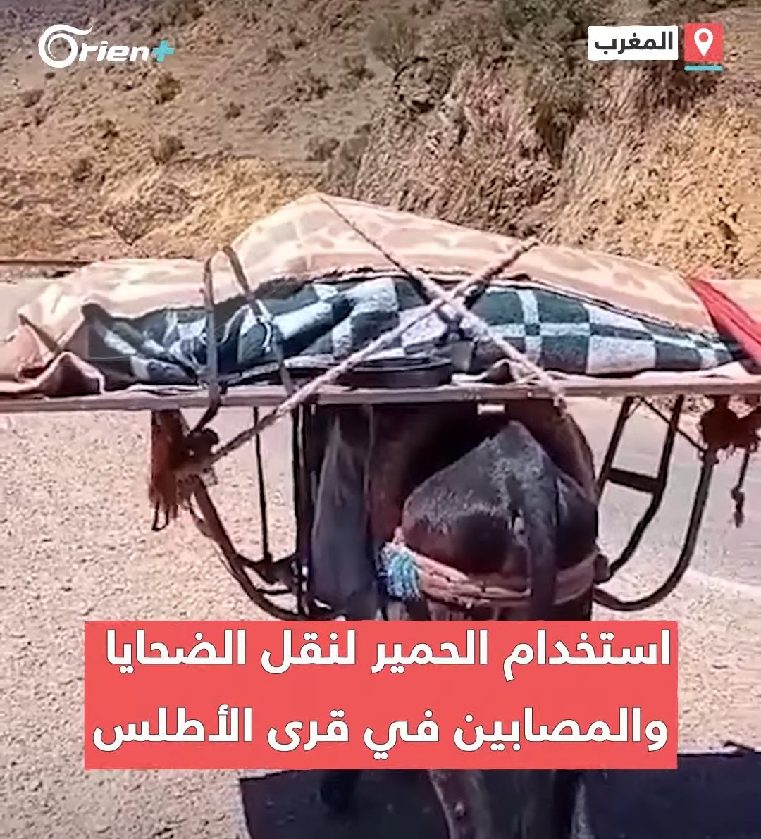عزيز _🇩🇿 AZIZ tweet media