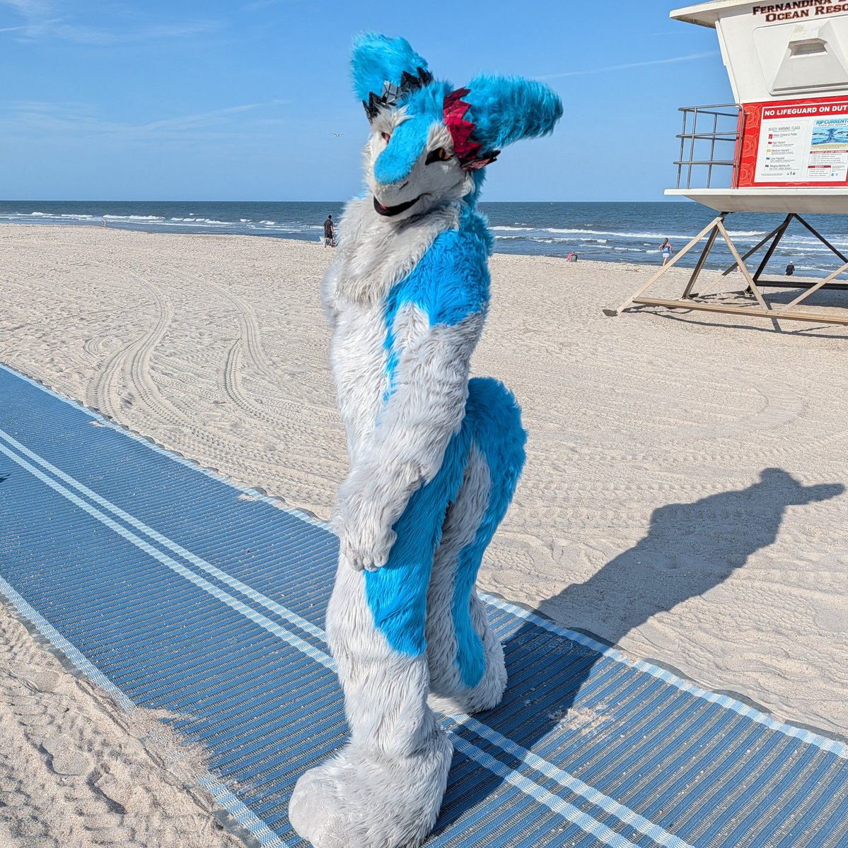 Rascal (@fluffarian) / Posts / X